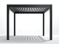 Pergola da giardino - Alluminio - 300 x 300 x 250 cm - Nero - Stile contemporaneo