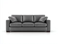 Divano a 3 posti - Pelle - 250 x 103 x 90 cm - Grigio - Stile moderno
