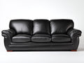 Divano a 3 posti - Pelle - 250 x 102 x 90 cm - Nero - Stile moderno