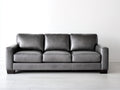 Divano a 3 posti - Pelle - 250 x 102 x 90 cm - Grigio - Stile moderno